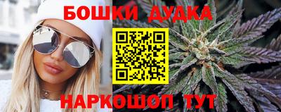 мяу мяу мука Кандалакша