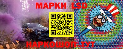 мяу мяу мука Кандалакша